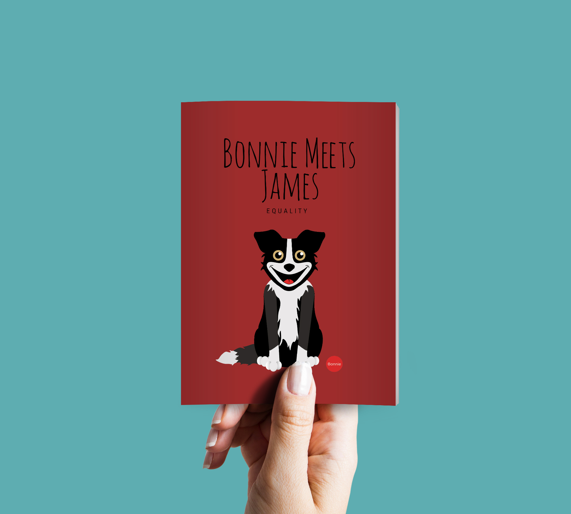 illustration de couverture du livre Bonnie meats James