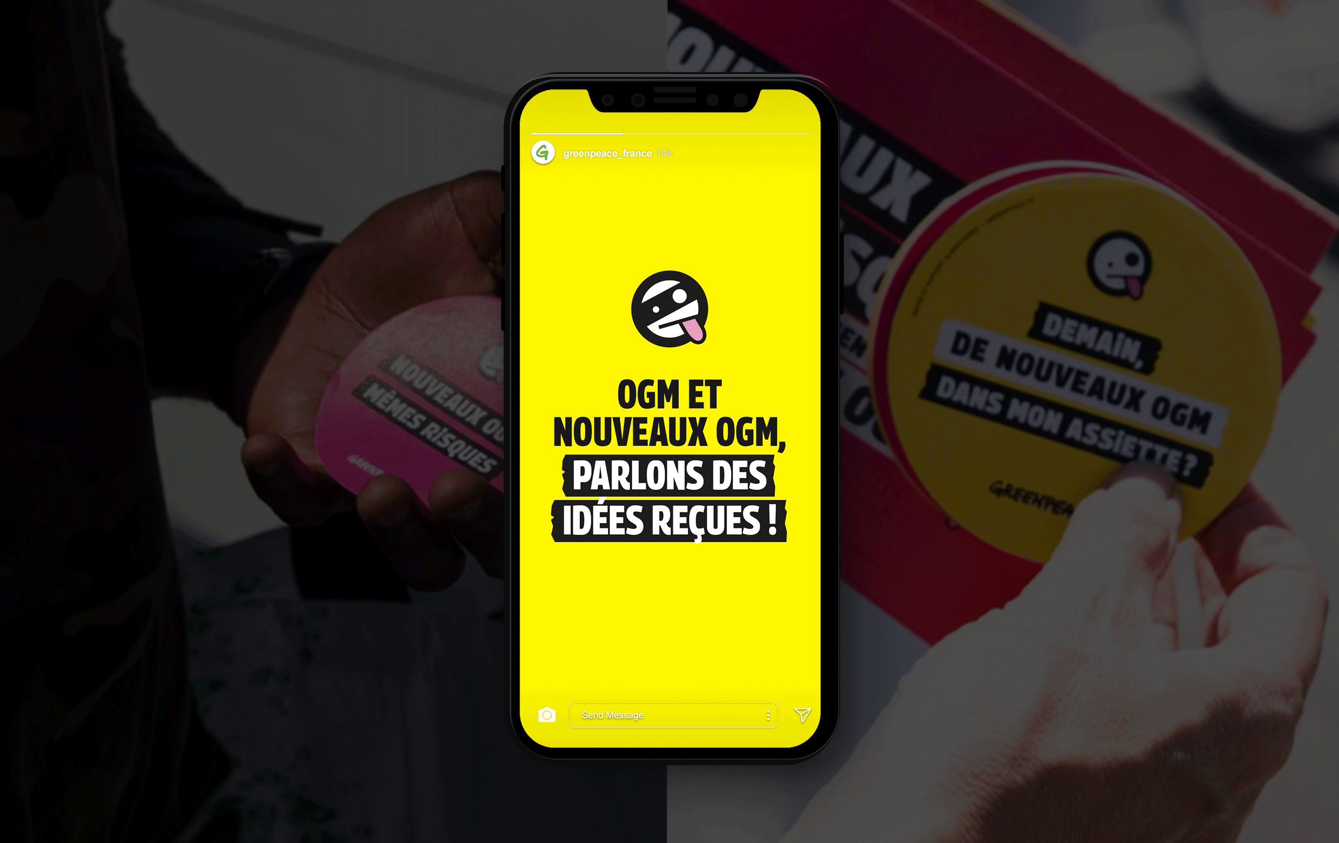 story Instagram pour Greenvoice